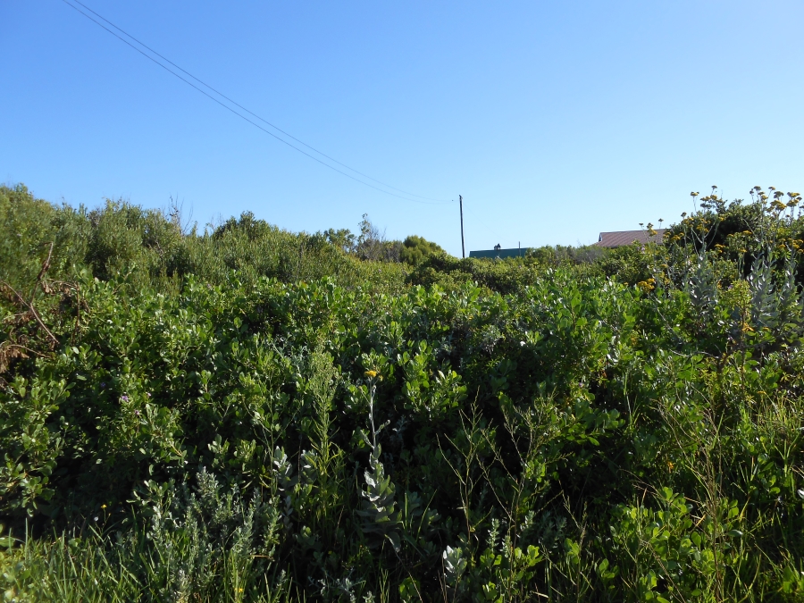 0 Bedroom Property for Sale in Oyster Bay Eastern Cape